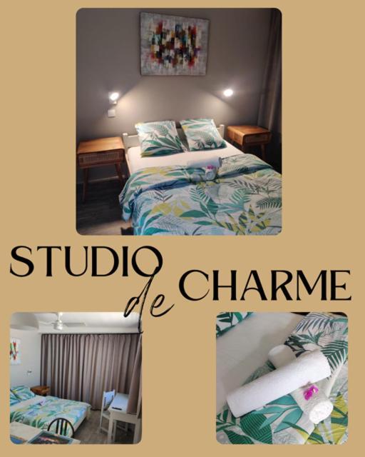 Joli Studio Cocooning & Discret, A 2Mns De La 4 Voies La Possession Dış mekan fotoğraf